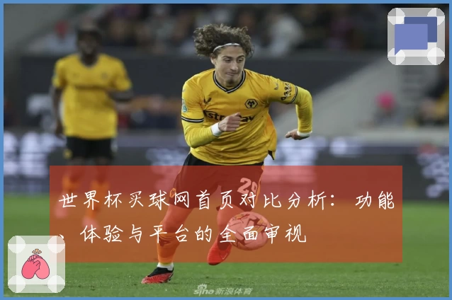 世界杯买球网首页对比分析：功能、体验与平台的全面审视