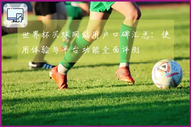 世界杯买球网站用户口碑汇总：使用体验与平台功能全面评测